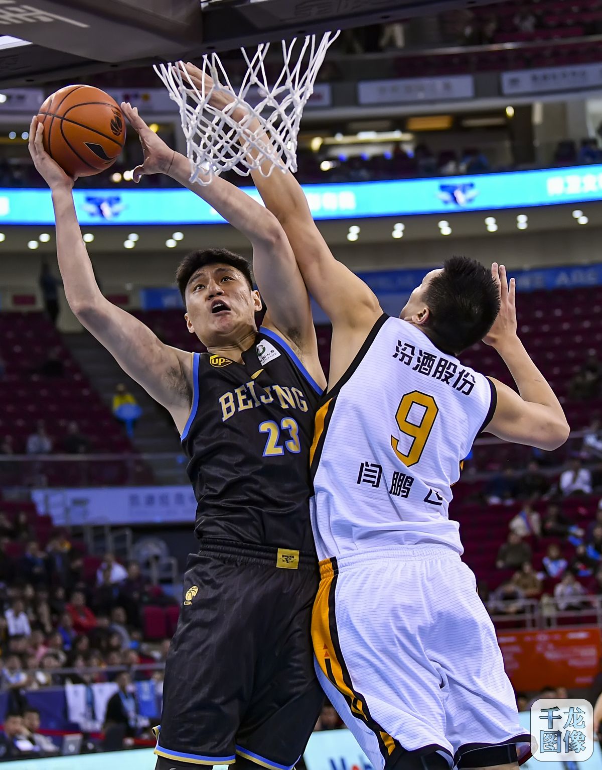 却也失去了 却也失去了