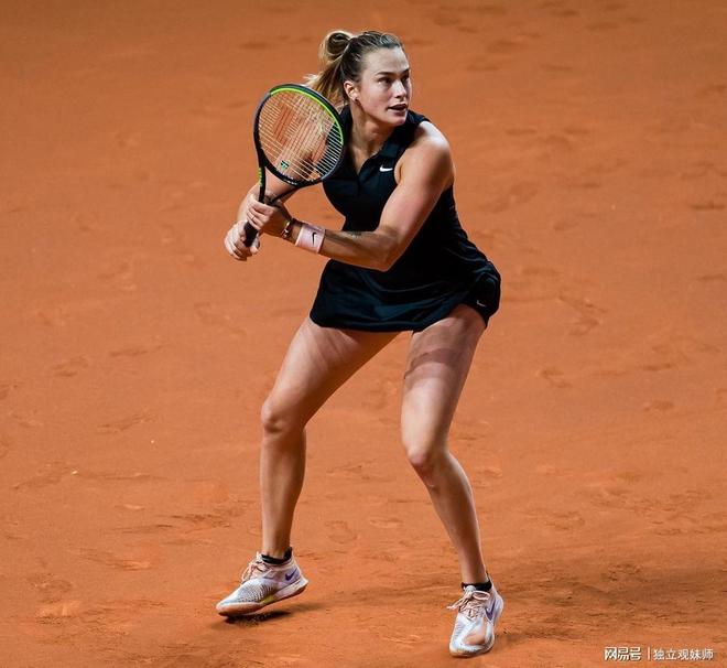 他们不仅提 他们不仅提