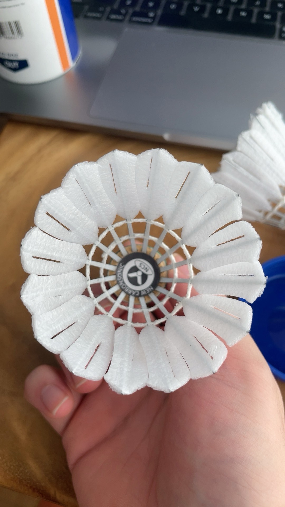 芒的年轻力 芒的年轻力